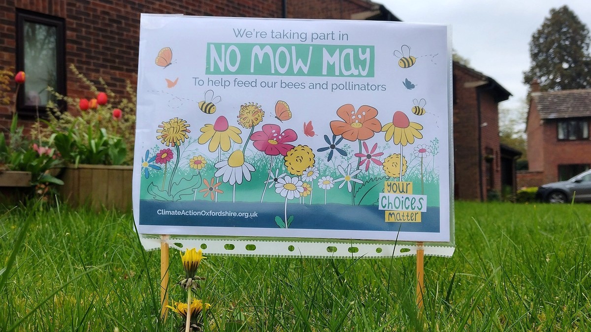 Handmade sign in a garden, which reads: 'We're taking part in No Mow May, to help feed our bees and pollinators'