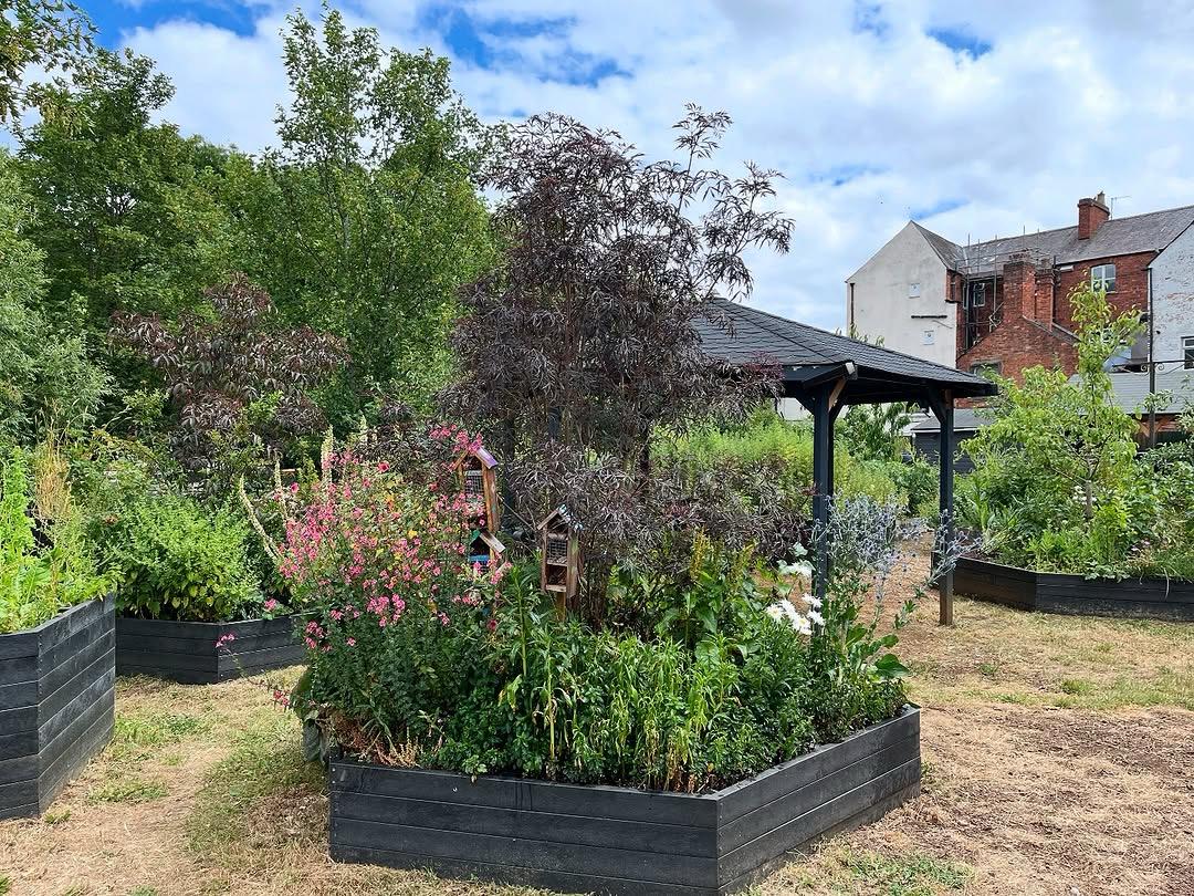 A garden with multiple planter boxes full of green plants and flowers, surrounded by grass, on a sunny day.