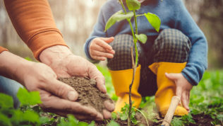 Child and man planting tree