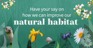 Have your say on how we can improve our natural habitat