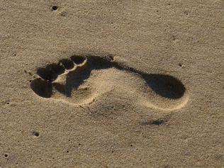 A footprint in the sand