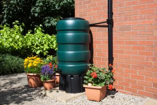 A dark green water butt sits against a red brick wall in a gravelled garden, surrounded by some potted outdoor plants.