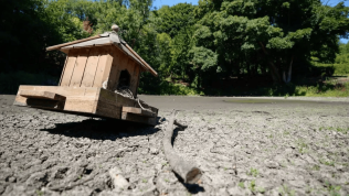 A view of bird house sitting inside a completely dried up pond.