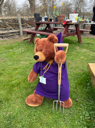 A large brown teddy bear in a purple t-shirt stands up holding a large gardening fork! It stands on green grass with a busy picnic table behind it.
