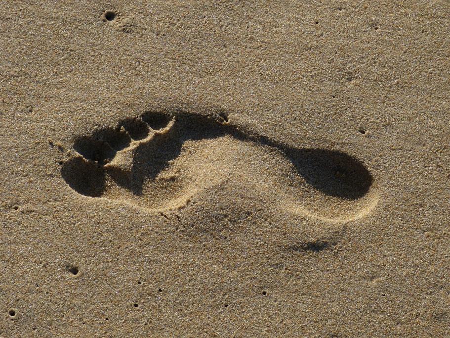 A footprint in the sand
