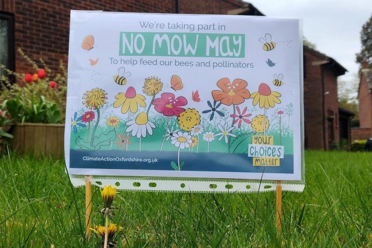 Handmade sign in a garden, which reads: 'We're taking part in No Mow May, to help feed our bees and pollinators'