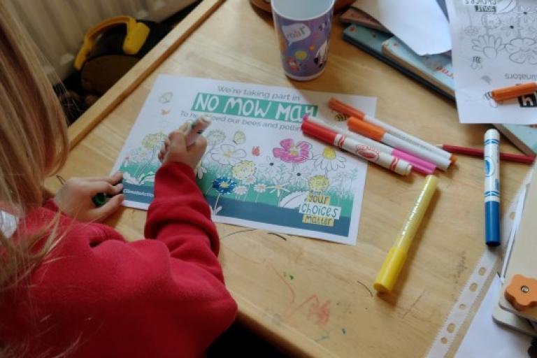 A child colouring a No Mow May sign