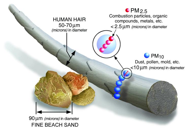 Technical drawing showing a scaled up human hair in comparison to the size of fine sand, and to PM10 and PM2.5 particles