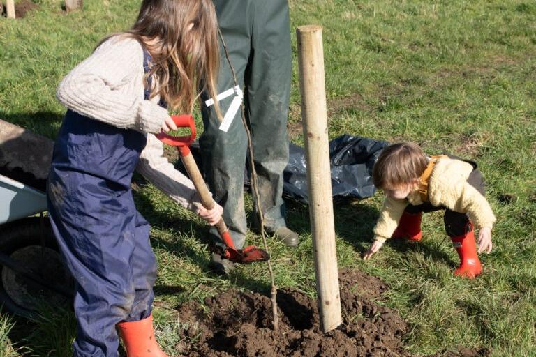 A child and a toddler planting a tree together