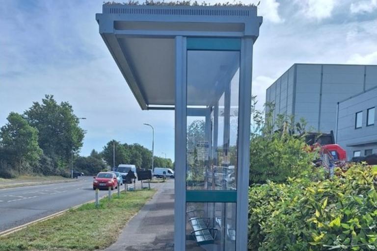 A bus shelter with vegetation peeking over its roof stands on a pavement beside a road on a sunny day. Trees and bushes can be seen in the foreground and background near the road.