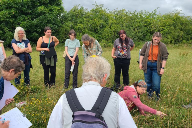 A group of people stand or crouch in tall grass, examining the wildflowers.